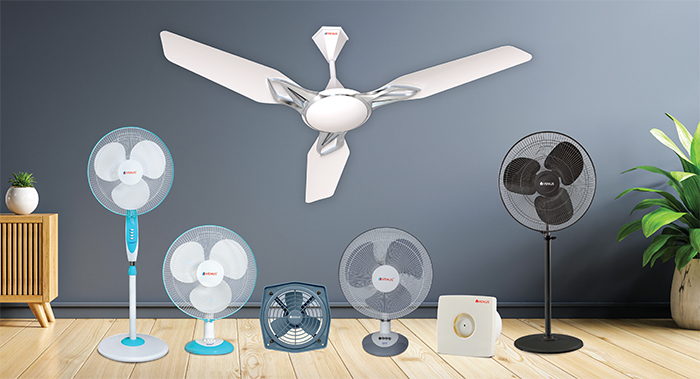 Fan
